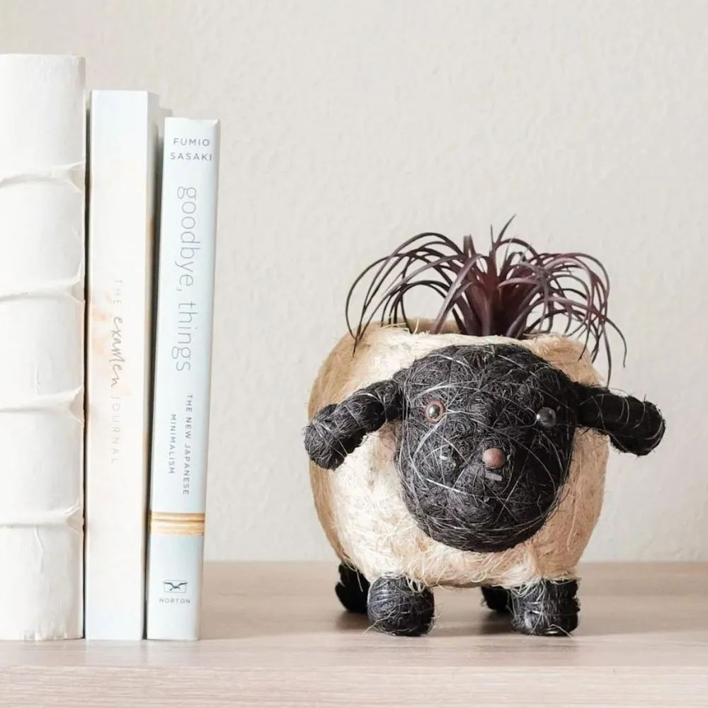 Coconut Coir Animal Planter - Baby Sheep