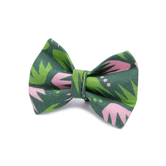 Combs Cat Bow Tie by Hiro   Wolf