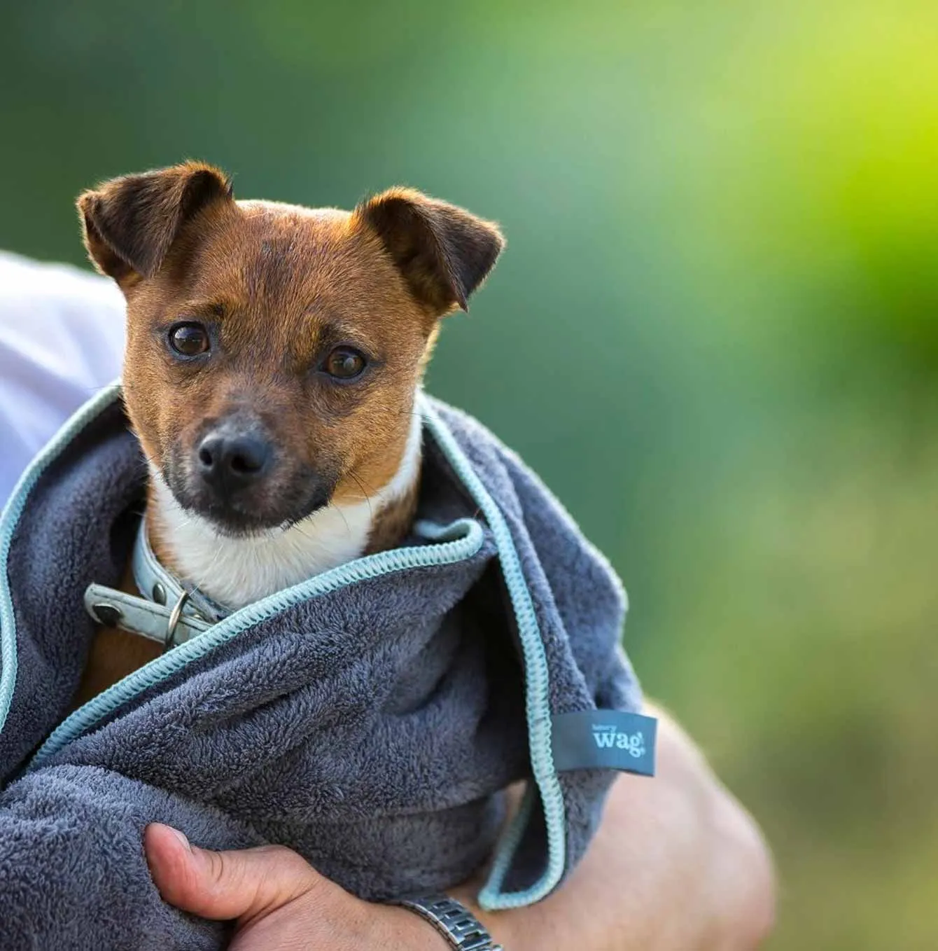 Henry Wag Microfibre Towel