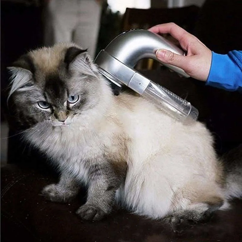 Pet Vacuum Cleaner Just For You