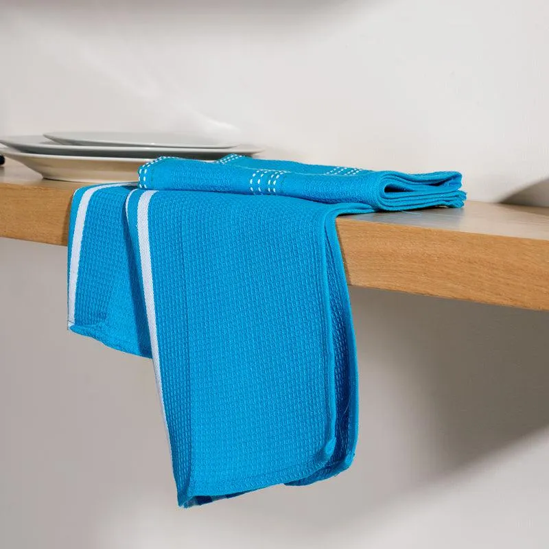 Solid Combo Dishcloths - Blue Pair