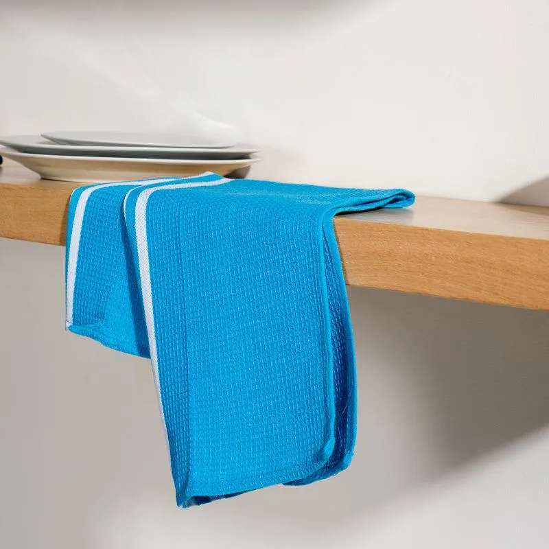 Solid Combo Dishcloths - Blue Pair